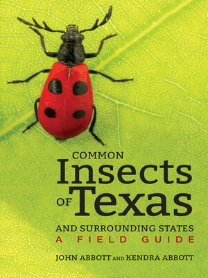 cover image of Common Insects of Texas and Surrounding States